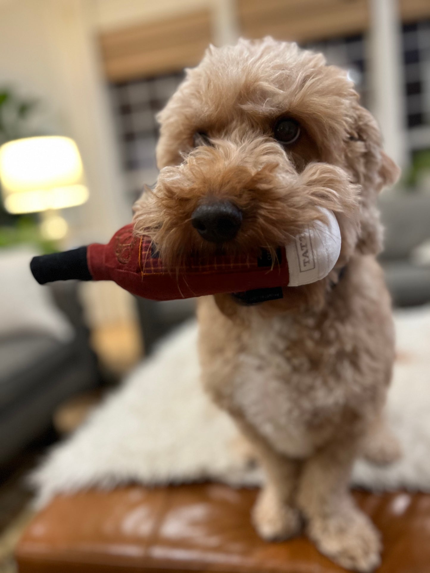 Old Fashioned Plush Dog Toy